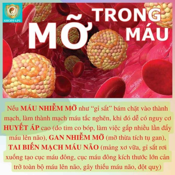 Hao Binh Bo Huyet, Hao Binh Bo Than Sinh Tinh, Hao Binh Bo Ty, Hao Binh Da Day Dan, Hao Binh Da Nang Buong Trung, Hao Binh Gan, Hao Binh Gan (Mun, Viem Da, Ngua,...), Hao Binh Giam Can, Hao Binh Gout, Hao Binh Khop Dan, Hao Binh On Dinh Huyet Ap, Hao Binh Tam Dan, Hao Binh Than Dan, Hao Binh Tien Dan, Hao Binh Tieu Duong Dan, Hao Binh Tieu U Buou, Hao Binh Tri Noi Tri Ngoai, Hao Binh Viem Phu Khoa, Hao Binh Viem Xoang, Hao Binh Suy Gian Tinh Mach, Hao Binh Tieu Dem, Hao Binh Vien Dieu Kinh Hao Binh Vien Cam Cum