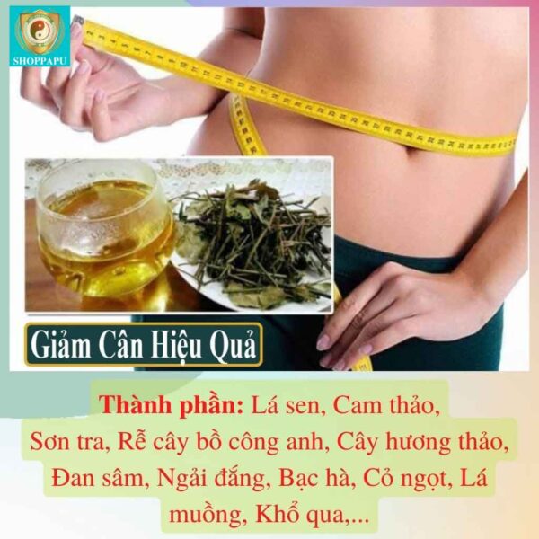 Hao Binh Bo Huyet, Hao Binh Bo Than Sinh Tinh, Hao Binh Bo Ty, Hao Binh Da Day Dan, Hao Binh Da Nang Buong Trung, Hao Binh Gan, Hao Binh Gan (Mun, Viem Da, Ngua,...), Hao Binh Giam Can, Hao Binh Gout, Hao Binh Khop Dan, Hao Binh On Dinh Huyet Ap, Hao Binh Tam Dan, Hao Binh Than Dan, Hao Binh Tien Dan, Hao Binh Tieu Duong Dan, Hao Binh Tieu U Buou, Hao Binh Tri Noi Tri Ngoai, Hao Binh Viem Phu Khoa, Hao Binh Viem Xoang, Hao Binh Suy Gian Tinh Mach, Hao Binh Tieu Dem, Hao Binh Vien Dieu Kinh Hao Binh Vien Cam Cum