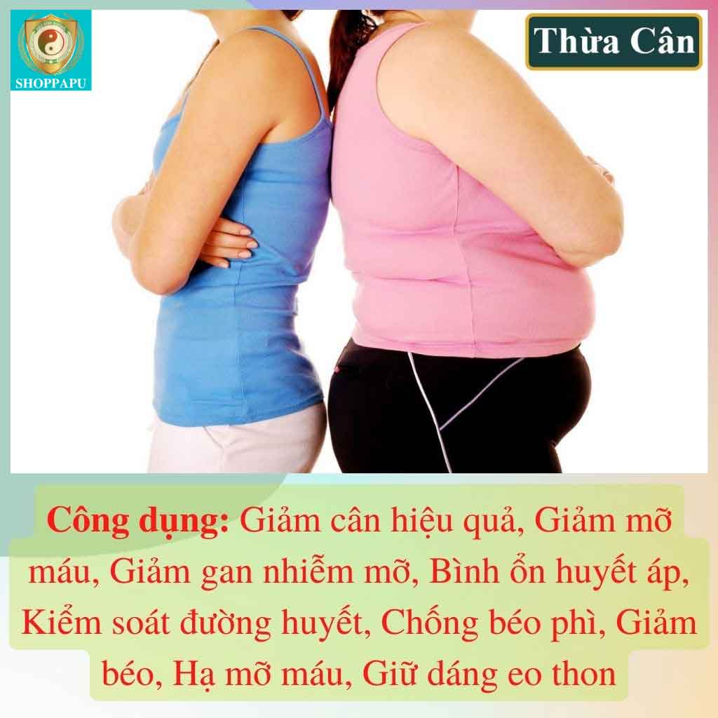 Thuốc trà giảm cân tại nhà Hào Bình Giảm Cân 5