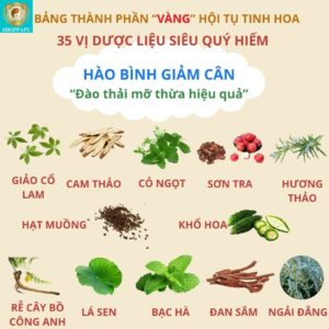 Hao Binh Bo Huyet, Hao Binh Bo Than Sinh Tinh, Hao Binh Bo Ty, Hao Binh Da Day Dan, Hao Binh Da Nang Buong Trung, Hao Binh Gan, Hao Binh Gan (Mun, Viem Da, Ngua,...), Hao Binh Giam Can, Hao Binh Gout, Hao Binh Khop Dan, Hao Binh On Dinh Huyet Ap, Hao Binh Tam Dan, Hao Binh Than Dan, Hao Binh Tien Dan, Hao Binh Tieu Duong Dan, Hao Binh Tieu U Buou, Hao Binh Tri Noi Tri Ngoai, Hao Binh Viem Phu Khoa, Hao Binh Viem Xoang, Hao Binh Suy Gian Tinh Mach, Hao Binh Tieu Dem, Hao Binh Vien Dieu Kinh Hao Binh Vien Cam Cum