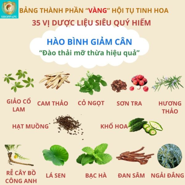 Hao Binh Bo Huyet, Hao Binh Bo Than Sinh Tinh, Hao Binh Bo Ty, Hao Binh Da Day Dan, Hao Binh Da Nang Buong Trung, Hao Binh Gan, Hao Binh Gan (Mun, Viem Da, Ngua,...), Hao Binh Giam Can, Hao Binh Gout, Hao Binh Khop Dan, Hao Binh On Dinh Huyet Ap, Hao Binh Tam Dan, Hao Binh Than Dan, Hao Binh Tien Dan, Hao Binh Tieu Duong Dan, Hao Binh Tieu U Buou, Hao Binh Tri Noi Tri Ngoai, Hao Binh Viem Phu Khoa, Hao Binh Viem Xoang, Hao Binh Suy Gian Tinh Mach, Hao Binh Tieu Dem, Hao Binh Vien Dieu Kinh Hao Binh Vien Cam Cum