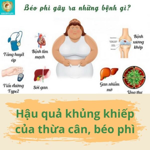 Hao Binh Bo Huyet, Hao Binh Bo Than Sinh Tinh, Hao Binh Bo Ty, Hao Binh Da Day Dan, Hao Binh Da Nang Buong Trung, Hao Binh Gan, Hao Binh Gan (Mun, Viem Da, Ngua,...), Hao Binh Giam Can, Hao Binh Gout, Hao Binh Khop Dan, Hao Binh On Dinh Huyet Ap, Hao Binh Tam Dan, Hao Binh Than Dan, Hao Binh Tien Dan, Hao Binh Tieu Duong Dan, Hao Binh Tieu U Buou, Hao Binh Tri Noi Tri Ngoai, Hao Binh Viem Phu Khoa, Hao Binh Viem Xoang, Hao Binh Suy Gian Tinh Mach, Hao Binh Tieu Dem, Hao Binh Vien Dieu Kinh Hao Binh Vien Cam Cum