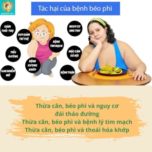 Hao Binh Bo Huyet, Hao Binh Bo Than Sinh Tinh, Hao Binh Bo Ty, Hao Binh Da Day Dan, Hao Binh Da Nang Buong Trung, Hao Binh Gan, Hao Binh Gan (Mun, Viem Da, Ngua,...), Hao Binh Giam Can, Hao Binh Gout, Hao Binh Khop Dan, Hao Binh On Dinh Huyet Ap, Hao Binh Tam Dan, Hao Binh Than Dan, Hao Binh Tien Dan, Hao Binh Tieu Duong Dan, Hao Binh Tieu U Buou, Hao Binh Tri Noi Tri Ngoai, Hao Binh Viem Phu Khoa, Hao Binh Viem Xoang, Hao Binh Suy Gian Tinh Mach, Hao Binh Tieu Dem, Hao Binh Vien Dieu Kinh Hao Binh Vien Cam Cum