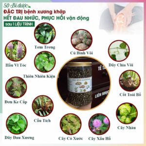 Hao Binh Bo Huyet, Hao Binh Bo Than Sinh Tinh, Hao Binh Bo Ty, Hao Binh Da Day Dan, Hao Binh Da Nang Buong Trung, Hao Binh Gan, Hao Binh Gan (Mun, Viem Da, Ngua,...), Hao Binh Giam Can, Hao Binh Gout, Hao Binh Khop Dan, Hao Binh On Dinh Huyet Ap, Hao Binh Tam Dan, Hao Binh Than Dan, Hao Binh Tien Dan, Hao Binh Tieu Duong Dan, Hao Binh Tieu U Buou, Hao Binh Tri Noi Tri Ngoai, Hao Binh Viem Phu Khoa, Hao Binh Viem Xoang, Hao Binh Suy Gian Tinh Mach, Hao Binh Tieu Dem, Hao Binh Vien Dieu Kinh Hao Binh Vien Cam Cum