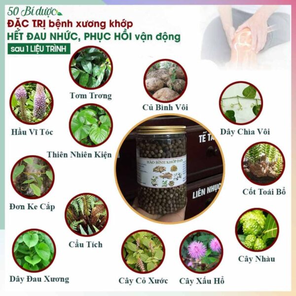 Hao Binh Bo Huyet, Hao Binh Bo Than Sinh Tinh, Hao Binh Bo Ty, Hao Binh Da Day Dan, Hao Binh Da Nang Buong Trung, Hao Binh Gan, Hao Binh Gan (Mun, Viem Da, Ngua,...), Hao Binh Giam Can, Hao Binh Gout, Hao Binh Khop Dan, Hao Binh On Dinh Huyet Ap, Hao Binh Tam Dan, Hao Binh Than Dan, Hao Binh Tien Dan, Hao Binh Tieu Duong Dan, Hao Binh Tieu U Buou, Hao Binh Tri Noi Tri Ngoai, Hao Binh Viem Phu Khoa, Hao Binh Viem Xoang, Hao Binh Suy Gian Tinh Mach, Hao Binh Tieu Dem, Hao Binh Vien Dieu Kinh Hao Binh Vien Cam Cum