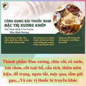 Hao Binh Bo Huyet, Hao Binh Bo Than Sinh Tinh, Hao Binh Bo Ty, Hao Binh Da Day Dan, Hao Binh Da Nang Buong Trung, Hao Binh Gan, Hao Binh Gan (Mun, Viem Da, Ngua,...), Hao Binh Giam Can, Hao Binh Gout, Hao Binh Khop Dan, Hao Binh On Dinh Huyet Ap, Hao Binh Tam Dan, Hao Binh Than Dan, Hao Binh Tien Dan, Hao Binh Tieu Duong Dan, Hao Binh Tieu U Buou, Hao Binh Tri Noi Tri Ngoai, Hao Binh Viem Phu Khoa, Hao Binh Viem Xoang, Hao Binh Suy Gian Tinh Mach, Hao Binh Tieu Dem, Hao Binh Vien Dieu Kinh Hao Binh Vien Cam Cum
