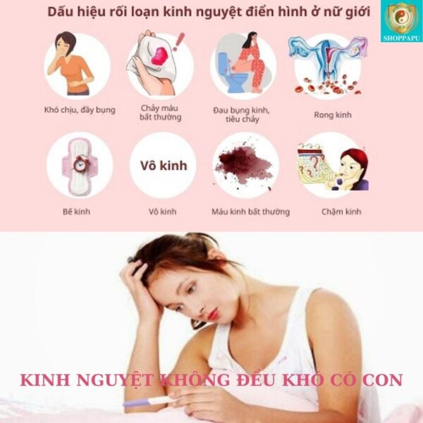 Hao Binh Bo Huyet, Hao Binh Bo Than Sinh Tinh, Hao Binh Bo Ty, Hao Binh Da Day Dan, Hao Binh Da Nang Buong Trung, Hao Binh Gan, Hao Binh Gan (Mun, Viem Da, Ngua,...), Hao Binh Giam Can, Hao Binh Gout, Hao Binh Khop Dan, Hao Binh On Dinh Huyet Ap, Hao Binh Tam Dan, Hao Binh Than Dan, Hao Binh Tien Dan, Hao Binh Tieu Duong Dan, Hao Binh Tieu U Buou, Hao Binh Tri Noi Tri Ngoai, Hao Binh Viem Phu Khoa, Hao Binh Viem Xoang, Hao Binh Suy Gian Tinh Mach, Hao Binh Tieu Dem, Hao Binh Vien Dieu Kinh Hao Binh Vien Cam Cum