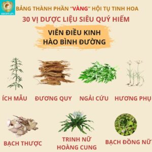 Hao Binh Bo Huyet, Hao Binh Bo Than Sinh Tinh, Hao Binh Bo Ty, Hao Binh Da Day Dan, Hao Binh Da Nang Buong Trung, Hao Binh Gan, Hao Binh Gan (Mun, Viem Da, Ngua,...), Hao Binh Giam Can, Hao Binh Gout, Hao Binh Khop Dan, Hao Binh On Dinh Huyet Ap, Hao Binh Tam Dan, Hao Binh Than Dan, Hao Binh Tien Dan, Hao Binh Tieu Duong Dan, Hao Binh Tieu U Buou, Hao Binh Tri Noi Tri Ngoai, Hao Binh Viem Phu Khoa, Hao Binh Viem Xoang, Hao Binh Suy Gian Tinh Mach, Hao Binh Tieu Dem, Hao Binh Vien Dieu Kinh Hao Binh Vien Cam Cum