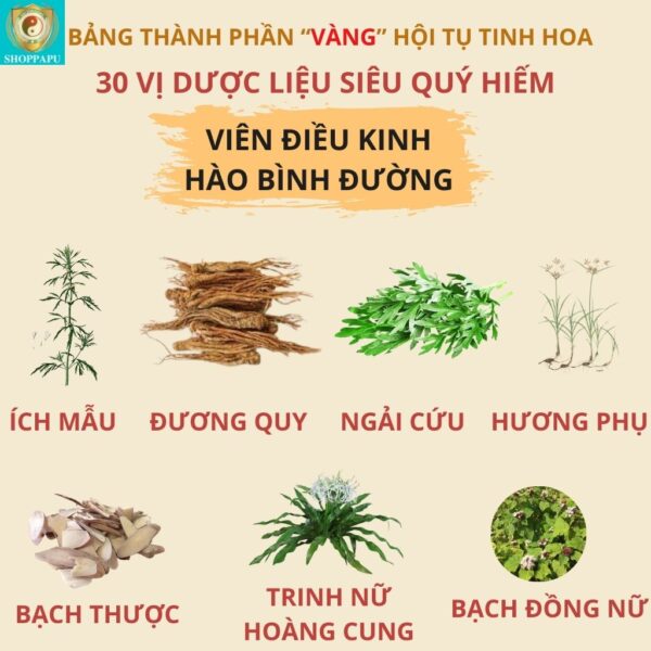 Hao Binh Bo Huyet, Hao Binh Bo Than Sinh Tinh, Hao Binh Bo Ty, Hao Binh Da Day Dan, Hao Binh Da Nang Buong Trung, Hao Binh Gan, Hao Binh Gan (Mun, Viem Da, Ngua,...), Hao Binh Giam Can, Hao Binh Gout, Hao Binh Khop Dan, Hao Binh On Dinh Huyet Ap, Hao Binh Tam Dan, Hao Binh Than Dan, Hao Binh Tien Dan, Hao Binh Tieu Duong Dan, Hao Binh Tieu U Buou, Hao Binh Tri Noi Tri Ngoai, Hao Binh Viem Phu Khoa, Hao Binh Viem Xoang, Hao Binh Suy Gian Tinh Mach, Hao Binh Tieu Dem, Hao Binh Vien Dieu Kinh Hao Binh Vien Cam Cum