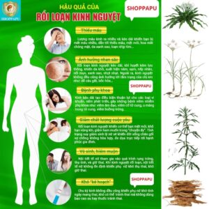 Hao Binh Bo Huyet, Hao Binh Bo Than Sinh Tinh, Hao Binh Bo Ty, Hao Binh Da Day Dan, Hao Binh Da Nang Buong Trung, Hao Binh Gan, Hao Binh Gan (Mun, Viem Da, Ngua,...), Hao Binh Giam Can, Hao Binh Gout, Hao Binh Khop Dan, Hao Binh On Dinh Huyet Ap, Hao Binh Tam Dan, Hao Binh Than Dan, Hao Binh Tien Dan, Hao Binh Tieu Duong Dan, Hao Binh Tieu U Buou, Hao Binh Tri Noi Tri Ngoai, Hao Binh Viem Phu Khoa, Hao Binh Viem Xoang, Hao Binh Suy Gian Tinh Mach, Hao Binh Tieu Dem, Hao Binh Vien Dieu Kinh Hao Binh Vien Cam Cum