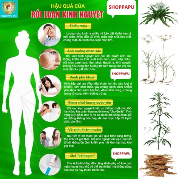 Hao Binh Bo Huyet, Hao Binh Bo Than Sinh Tinh, Hao Binh Bo Ty, Hao Binh Da Day Dan, Hao Binh Da Nang Buong Trung, Hao Binh Gan, Hao Binh Gan (Mun, Viem Da, Ngua,...), Hao Binh Giam Can, Hao Binh Gout, Hao Binh Khop Dan, Hao Binh On Dinh Huyet Ap, Hao Binh Tam Dan, Hao Binh Than Dan, Hao Binh Tien Dan, Hao Binh Tieu Duong Dan, Hao Binh Tieu U Buou, Hao Binh Tri Noi Tri Ngoai, Hao Binh Viem Phu Khoa, Hao Binh Viem Xoang, Hao Binh Suy Gian Tinh Mach, Hao Binh Tieu Dem, Hao Binh Vien Dieu Kinh Hao Binh Vien Cam Cum
