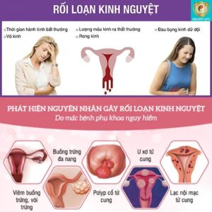 Hao Binh Bo Huyet, Hao Binh Bo Than Sinh Tinh, Hao Binh Bo Ty, Hao Binh Da Day Dan, Hao Binh Da Nang Buong Trung, Hao Binh Gan, Hao Binh Gan (Mun, Viem Da, Ngua,...), Hao Binh Giam Can, Hao Binh Gout, Hao Binh Khop Dan, Hao Binh On Dinh Huyet Ap, Hao Binh Tam Dan, Hao Binh Than Dan, Hao Binh Tien Dan, Hao Binh Tieu Duong Dan, Hao Binh Tieu U Buou, Hao Binh Tri Noi Tri Ngoai, Hao Binh Viem Phu Khoa, Hao Binh Viem Xoang, Hao Binh Suy Gian Tinh Mach, Hao Binh Tieu Dem, Hao Binh Vien Dieu Kinh Hao Binh Vien Cam Cum