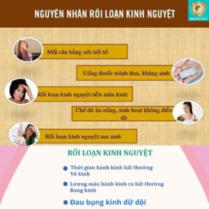 Hao Binh Bo Huyet, Hao Binh Bo Than Sinh Tinh, Hao Binh Bo Ty, Hao Binh Da Day Dan, Hao Binh Da Nang Buong Trung, Hao Binh Gan, Hao Binh Gan (Mun, Viem Da, Ngua,...), Hao Binh Giam Can, Hao Binh Gout, Hao Binh Khop Dan, Hao Binh On Dinh Huyet Ap, Hao Binh Tam Dan, Hao Binh Than Dan, Hao Binh Tien Dan, Hao Binh Tieu Duong Dan, Hao Binh Tieu U Buou, Hao Binh Tri Noi Tri Ngoai, Hao Binh Viem Phu Khoa, Hao Binh Viem Xoang, Hao Binh Suy Gian Tinh Mach, Hao Binh Tieu Dem, Hao Binh Vien Dieu Kinh Hao Binh Vien Cam Cum