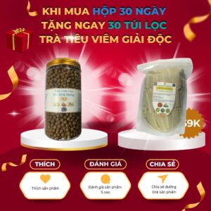 Viên Cảm Cúm Hào Bình Đường – Giải pháp Đông y hỗ trợ giảm nhanh triệu chứng cảm cúm, viêm đường hô hấp vien cam cum hao binh duong1 1