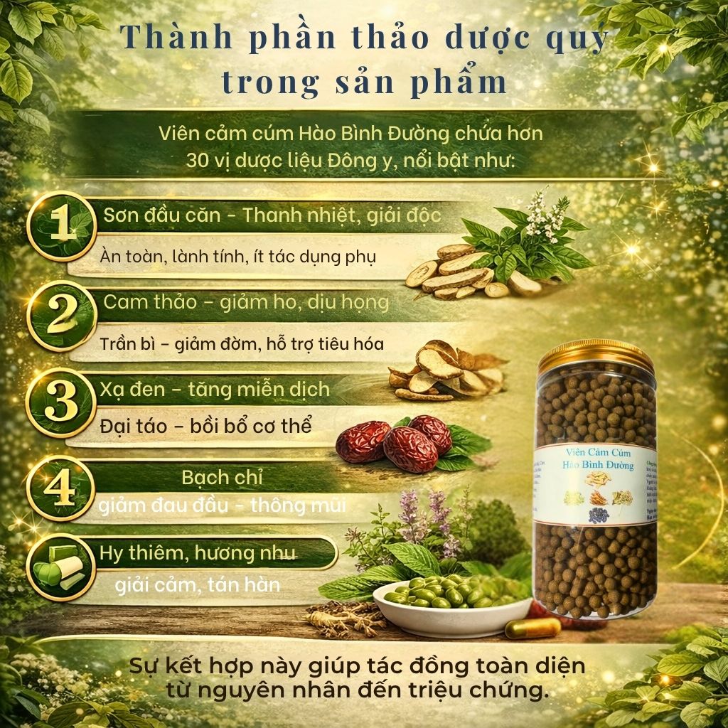 Vì sao nên chọn Viên Cảm Cúm Hào Bình Đường? Vì sao nên chọn Viên Cảm Cúm Hào Bình Đường?