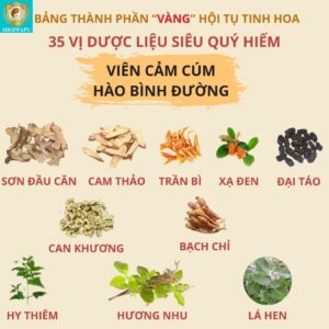 Thành phần thảo dược quý trong sản phẩm