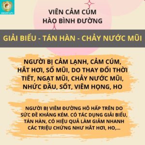 Viên Cảm Cúm Hào Bình Đường – Giải pháp Đông y hỗ trợ giảm nhanh triệu chứng cảm cúm, viêm đường hô hấp vien cam cum hao binh duong7 1