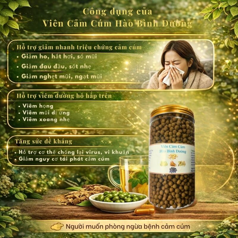 Viên Cảm Cúm Hào Bình Đường – Giải pháp Đông y hỗ trợ giảm nhanh triệu chứng cảm cúm, viêm đường hô hấp Công dụng của Viên Cảm Cúm Hào Bình Đường
