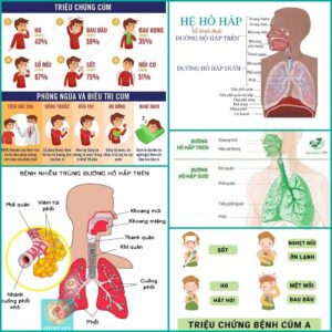 Hao Binh Bo Huyet, Hao Binh Bo Than Sinh Tinh, Hao Binh Bo Ty, Hao Binh Da Day Dan, Hao Binh Da Nang Buong Trung, Hao Binh Gan, Hao Binh Gan (Mun, Viem Da, Ngua,...), Hao Binh Giam Can, Hao Binh Gout, Hao Binh Khop Dan, Hao Binh On Dinh Huyet Ap, Hao Binh Tam Dan, Hao Binh Than Dan, Hao Binh Tien Dan, Hao Binh Tieu Duong Dan, Hao Binh Tieu U Buou, Hao Binh Tri Noi Tri Ngoai, Hao Binh Viem Phu Khoa, Hao Binh Viem Xoang, Hao Binh Suy Gian Tinh Mach, Hao Binh Tieu Dem, Hao Binh Vien Dieu Kinh Hao Binh Vien Cam Cum