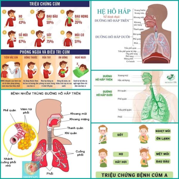 Hao Binh Bo Huyet, Hao Binh Bo Than Sinh Tinh, Hao Binh Bo Ty, Hao Binh Da Day Dan, Hao Binh Da Nang Buong Trung, Hao Binh Gan, Hao Binh Gan (Mun, Viem Da, Ngua,...), Hao Binh Giam Can, Hao Binh Gout, Hao Binh Khop Dan, Hao Binh On Dinh Huyet Ap, Hao Binh Tam Dan, Hao Binh Than Dan, Hao Binh Tien Dan, Hao Binh Tieu Duong Dan, Hao Binh Tieu U Buou, Hao Binh Tri Noi Tri Ngoai, Hao Binh Viem Phu Khoa, Hao Binh Viem Xoang, Hao Binh Suy Gian Tinh Mach, Hao Binh Tieu Dem, Hao Binh Vien Dieu Kinh Hao Binh Vien Cam Cum