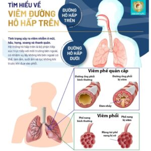 Hao Binh Bo Huyet, Hao Binh Bo Than Sinh Tinh, Hao Binh Bo Ty, Hao Binh Da Day Dan, Hao Binh Da Nang Buong Trung, Hao Binh Gan, Hao Binh Gan (Mun, Viem Da, Ngua,...), Hao Binh Giam Can, Hao Binh Gout, Hao Binh Khop Dan, Hao Binh On Dinh Huyet Ap, Hao Binh Tam Dan, Hao Binh Than Dan, Hao Binh Tien Dan, Hao Binh Tieu Duong Dan, Hao Binh Tieu U Buou, Hao Binh Tri Noi Tri Ngoai, Hao Binh Viem Phu Khoa, Hao Binh Viem Xoang, Hao Binh Suy Gian Tinh Mach, Hao Binh Tieu Dem, Hao Binh Vien Dieu Kinh Hao Binh Vien Cam Cum