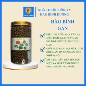 Gan – Thải độc – Mát gan
