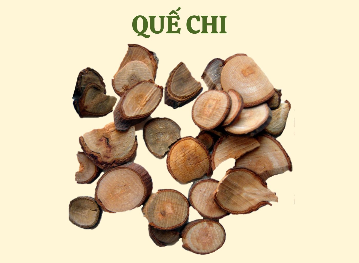 vị thuốc giảm đường huyết trong dân gian, bài thuốc hạ đường huyết, cây thuốc nam trị tiểu đường, kiểm soát đường huyết tự nhiên, thảo dược hạ đường huyết 9