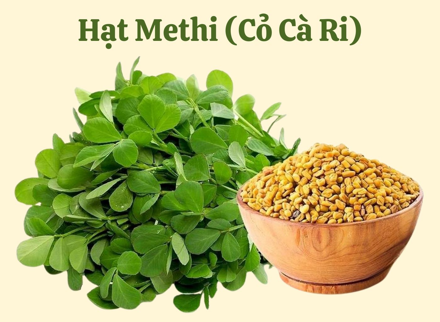 vị thuốc giảm đường huyết trong dân gian, bài thuốc hạ đường huyết, cây thuốc nam trị tiểu đường, kiểm soát đường huyết tự nhiên, thảo dược hạ đường huyết 10