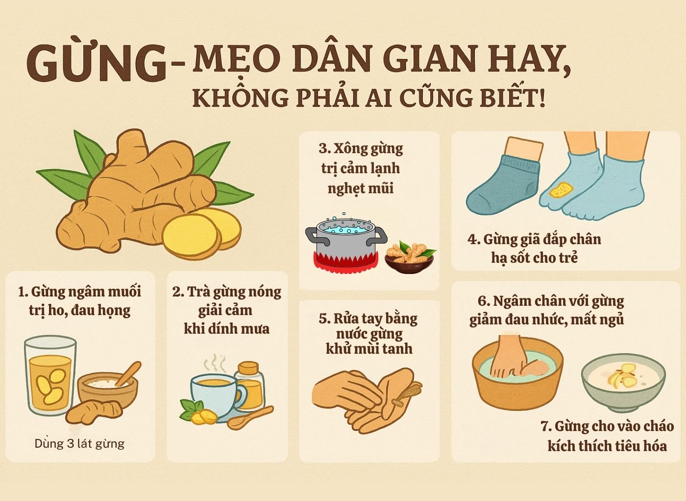 Gừng Tươi – Cây Thuốc Ấm Giúp Phòng Lạnh, Trị Ho, Đầy Hơi gừng tươi – cây thuốc ấm giúp phòng lạnh, trị ho, đầy hơi
- mẹo dân gian