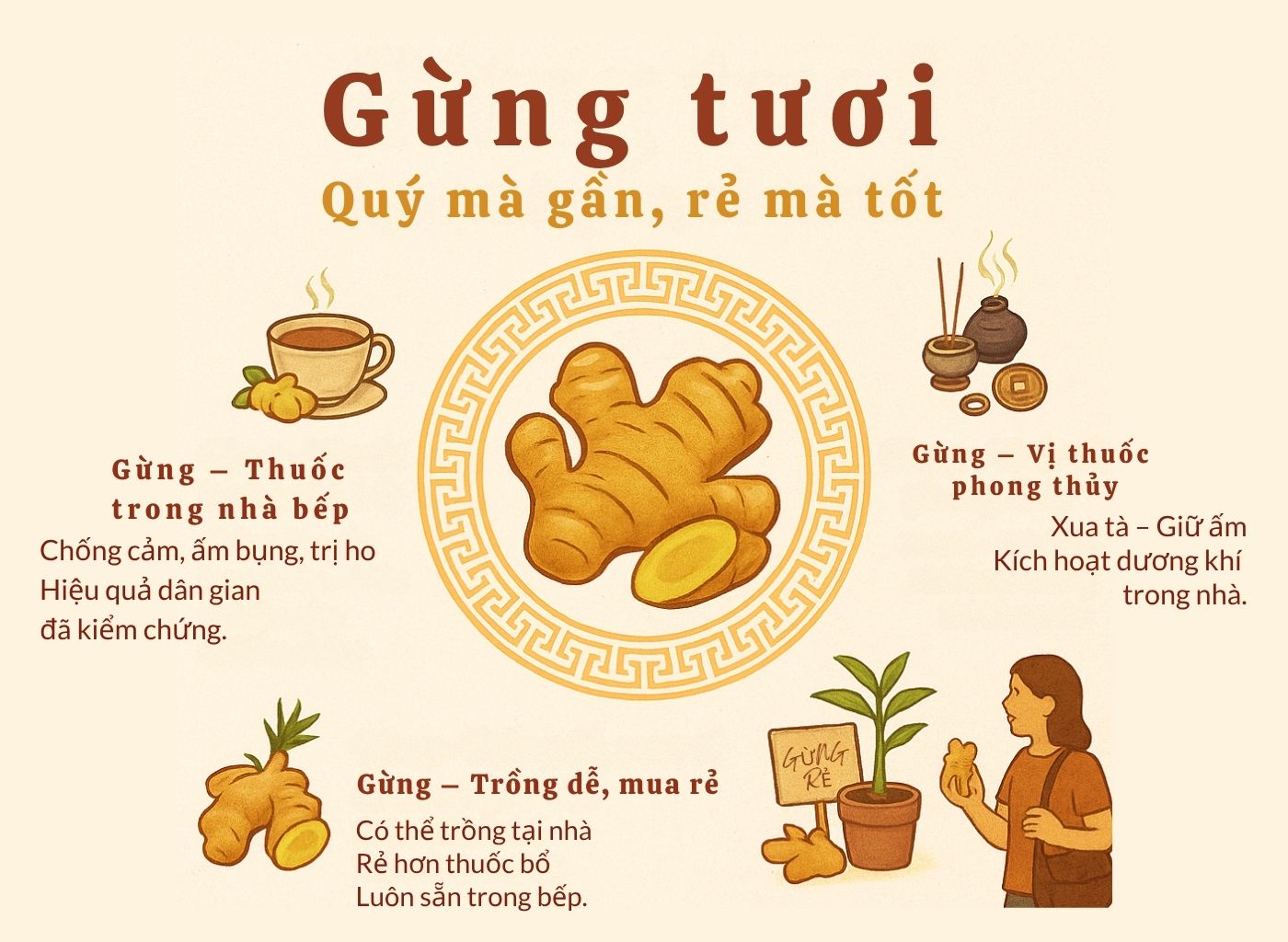 Gừng Tươi – Cây Thuốc Ấm Giúp Phòng Lạnh, Trị Ho, Đầy Hơi gừng tươi – cây thuốc ấm giúp phòng lạnh, trị ho, đầy hơi - tổng kết mở rộng