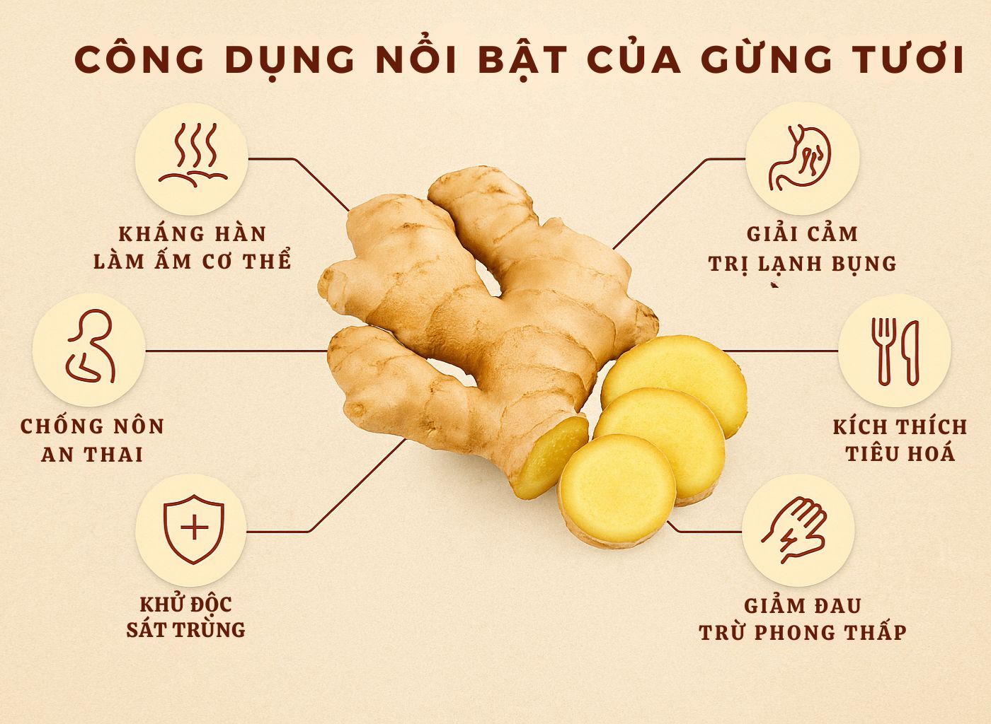 Gừng Tươi – Cây Thuốc Ấm Giúp Phòng Lạnh, Trị Ho, Đầy Hơi gừng tươi – cây thuốc ấm giúp phòng lạnh, trị ho, đầy hơi công dụng