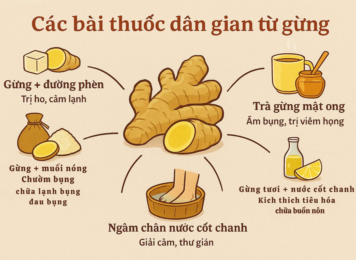 Gừng Tươi – Cây Thuốc Ấm Giúp Phòng Lạnh, Trị Ho, Đầy Hơi gừng tươi – cây thuốc ấm giúp phòng lạnh, trị ho, đầy hơi bài thuốc dân gian