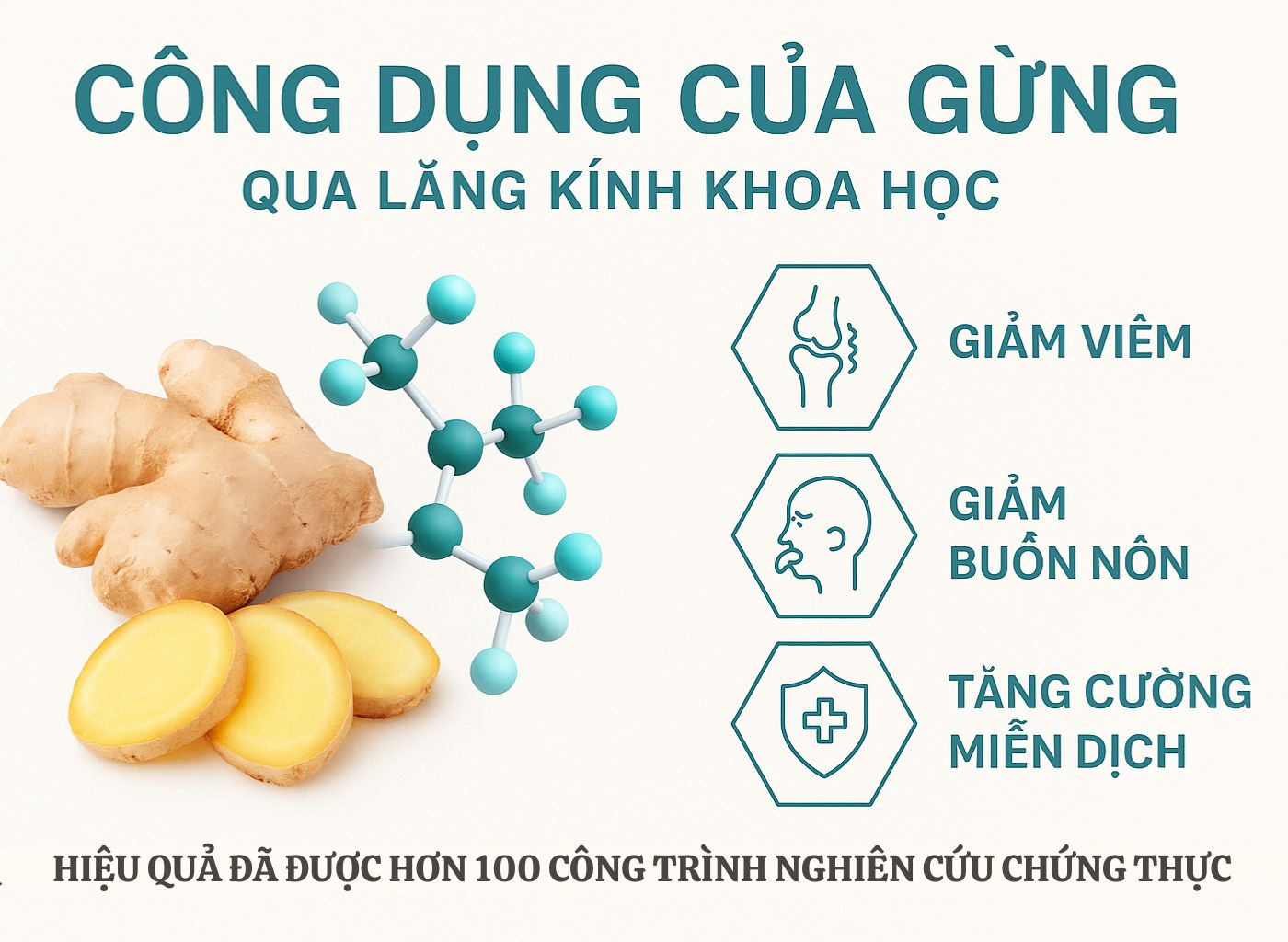 Gừng Tươi – Cây Thuốc Ấm Giúp Phòng Lạnh, Trị Ho, Đầy Hơi gừng tươi – cây thuốc ấm giúp phòng lạnh, trị ho, đầy hơi
- gừng trong y học hiện đại