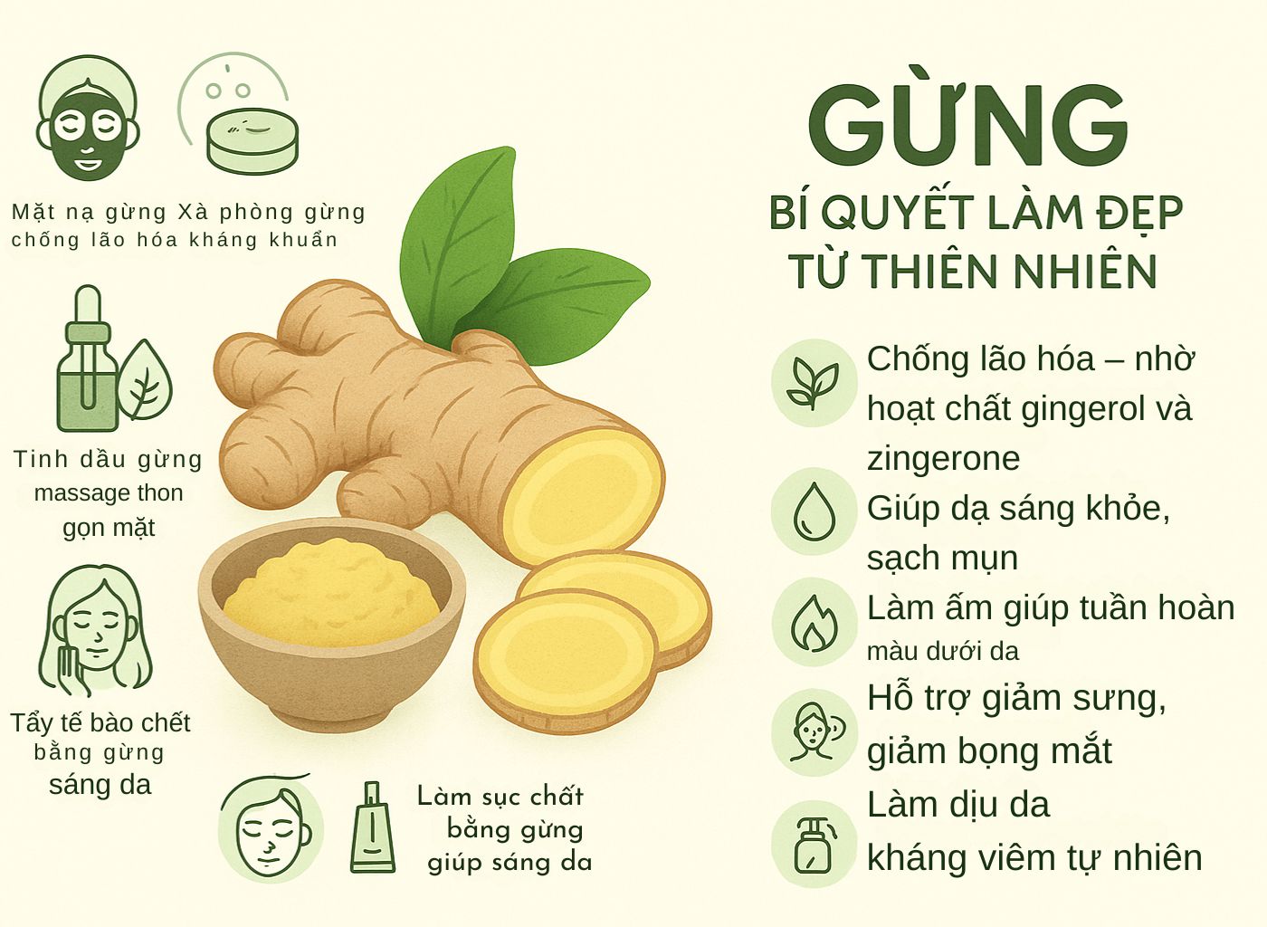 Gừng Tươi – Cây Thuốc Ấm Giúp Phòng Lạnh, Trị Ho, Đầy Hơi gừng tươi – cây thuốc ấm giúp phòng lạnh, trị ho, đầy hơi - gừng trong mỹ phẩm