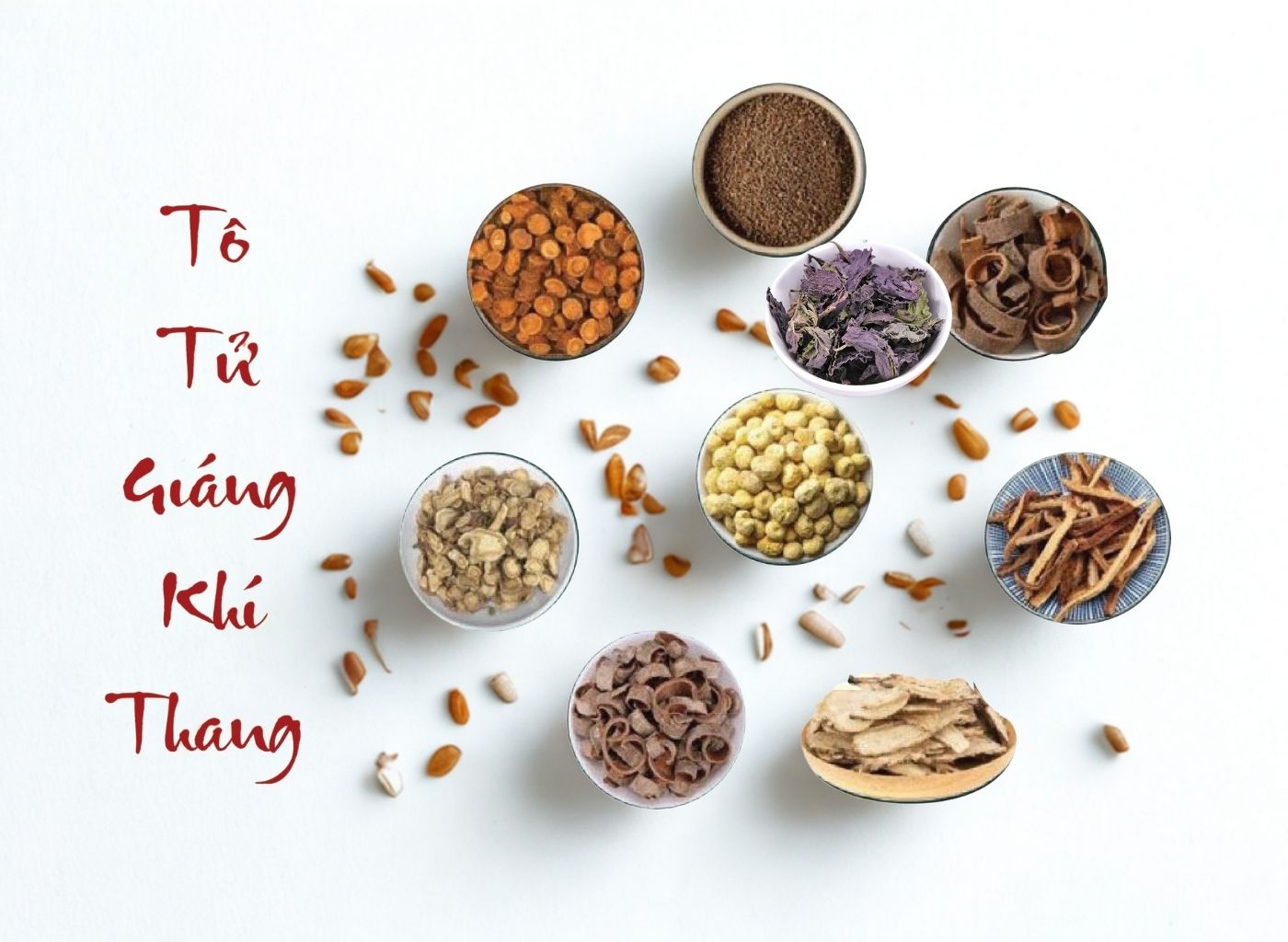 Tía Tô – Cây Thuốc Nam Trị Cảm, Tiêu Hóa Tốt, Dễ Trồng Quanh Nhà Tía tô trị cảm cúm, gói thuốc Nam có lá tía tô tại Hào Bình Đường
