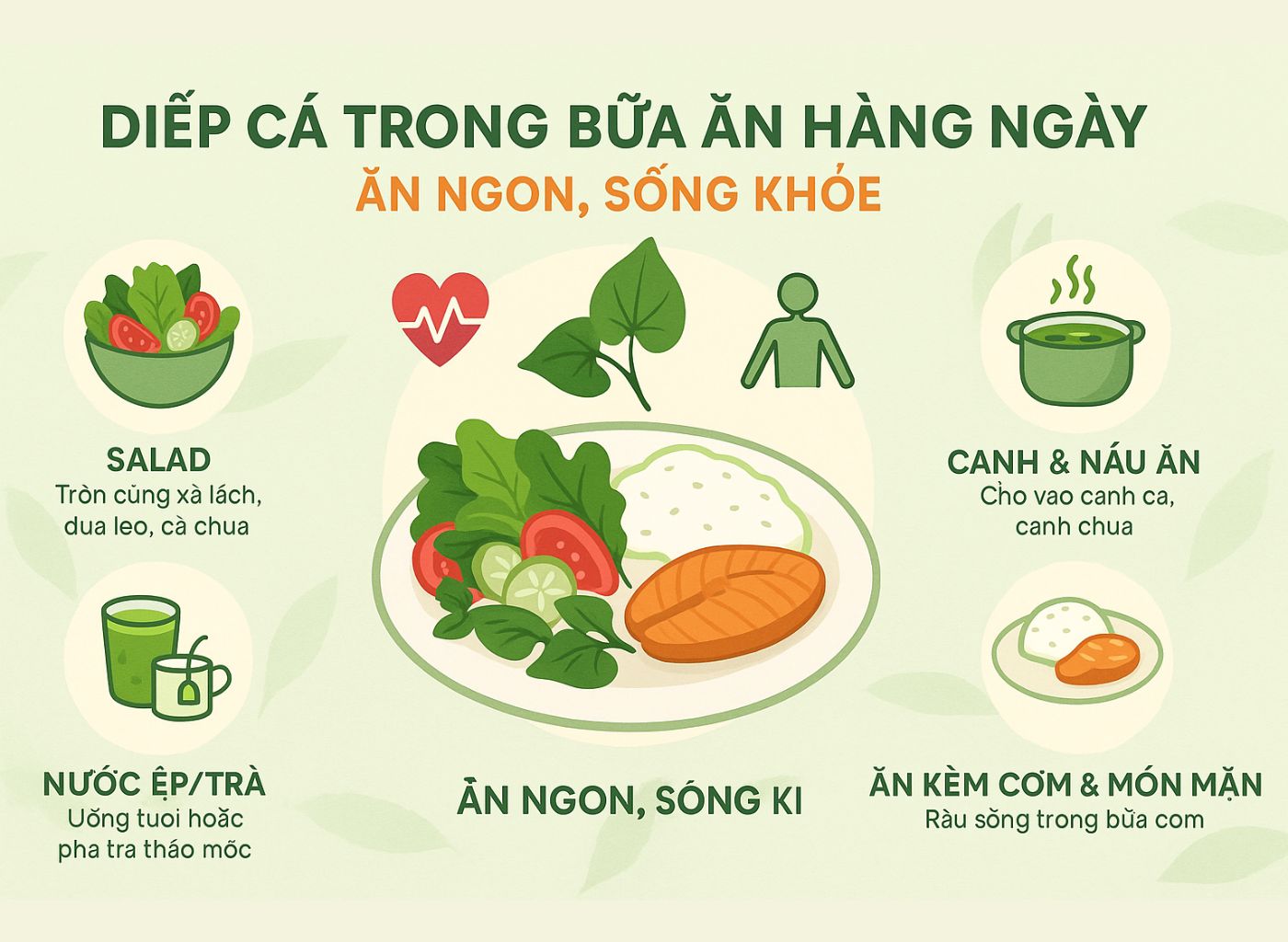 Cây diếp cá là gì, công dụng của diếp cá, diếp cá trong đông y, lợi ích sức khoẻ từ diếp cá kết hợp trong chế độ ăn hàng ngày