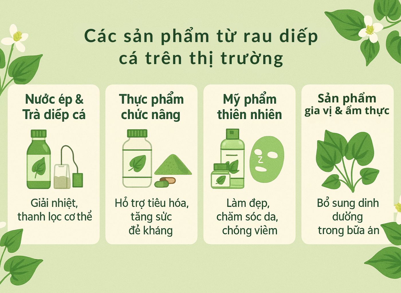 Cây diếp cá là gì, công dụng của diếp cá, diếp cá trong đông y, lợi ích sức khoẻ từ diếp cá các sản phẩm trên thị trường