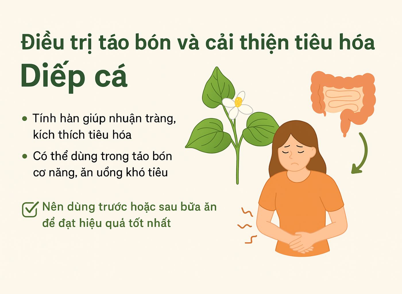 Cây diếp cá là gì, công dụng của diếp cá, diếp cá trong đông y, lợi ích sức khoẻ từ diếp cá điều trị táo bón