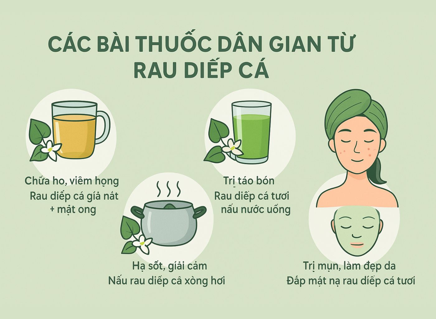 Cây diếp cá là gì, công dụng của diếp cá, diếp cá trong đông y, lợi ích sức khoẻ từ diếp cá các bài thuốc dân gian