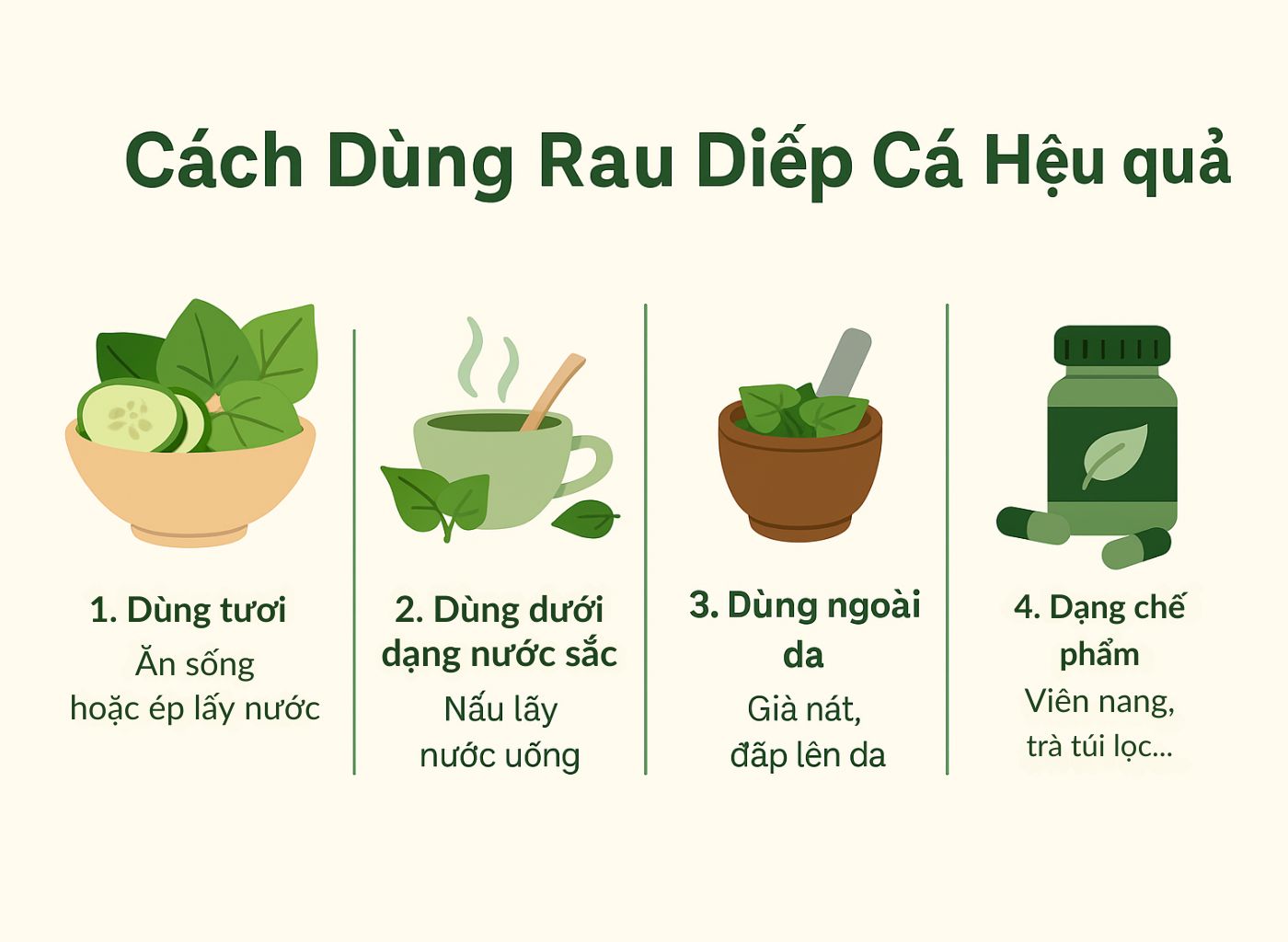 Cây diếp cá là gì, công dụng của diếp cá, diếp cá trong đông y, lợi ích sức khoẻ từ diếp cá cách dùng hiệu quả