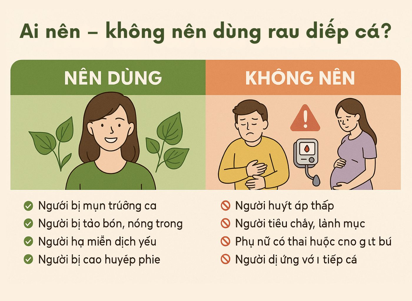 Cây diếp cá là gì, công dụng của diếp cá, diếp cá trong đông y, lợi ích sức khoẻ từ diếp cá ai nên không nên dùng