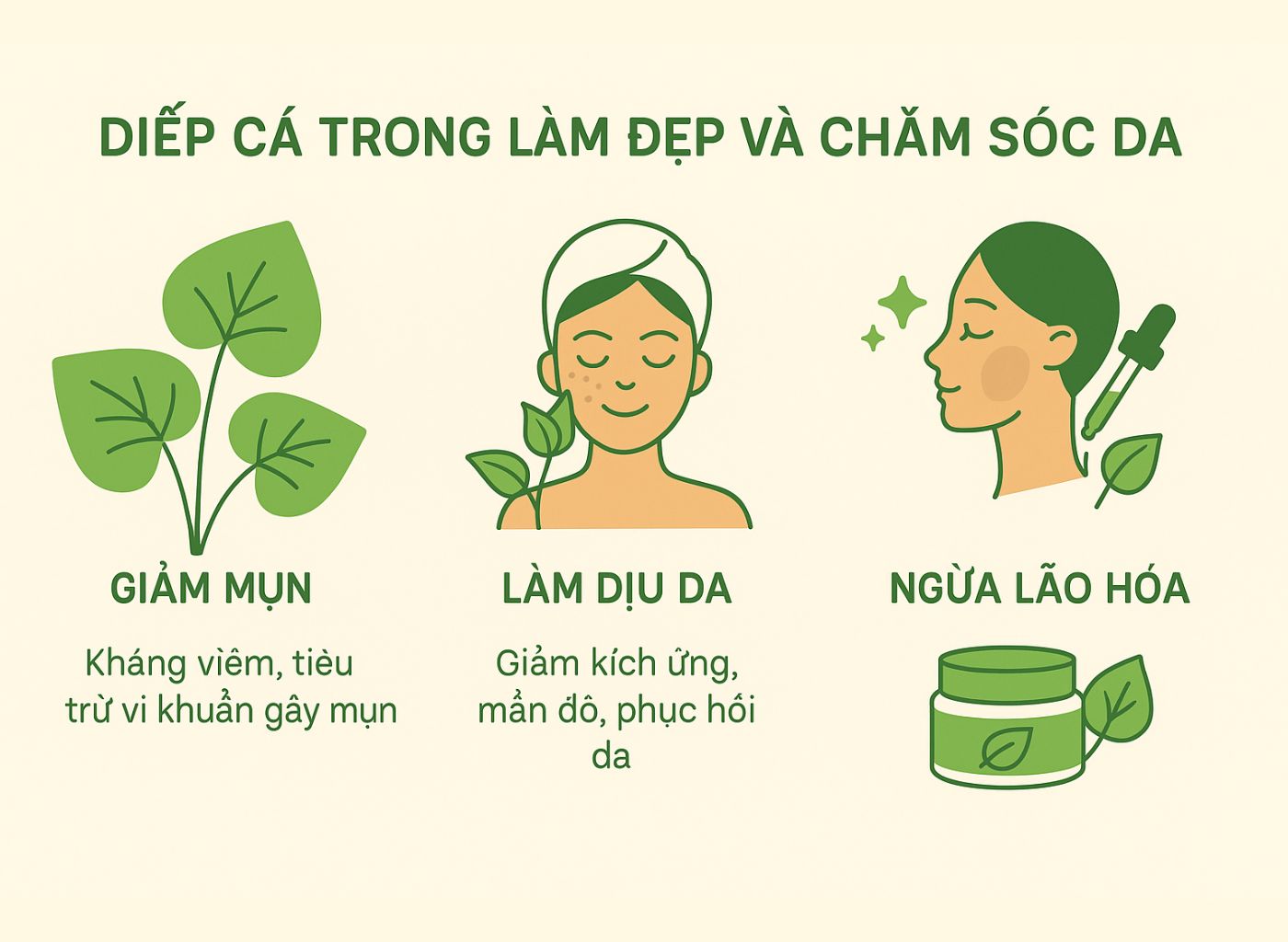 Cây diếp cá là gì, công dụng của diếp cá, diếp cá trong đông y, lợi ích sức khoẻ từ diếp cá trong làm đẹp và chăm sóc da
