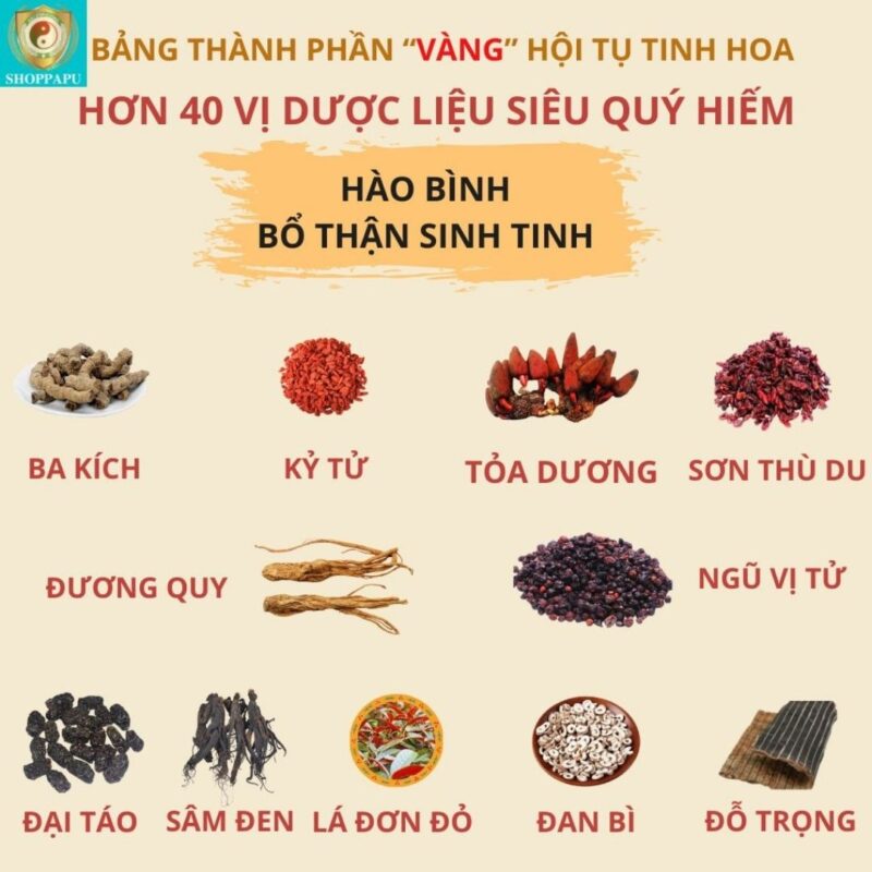 Thành phần thảo dược trong Hào Bình Bổ Thận Sinh Tinh