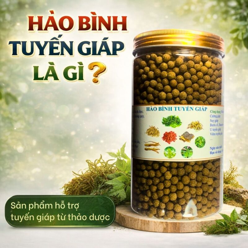 🧠 Hào Bình Tuyến Giáp là gì? Sự thật về sản phẩm đang được tìm kiếm nhiều trên Google Hào Bình Tuyến Giáp là gì