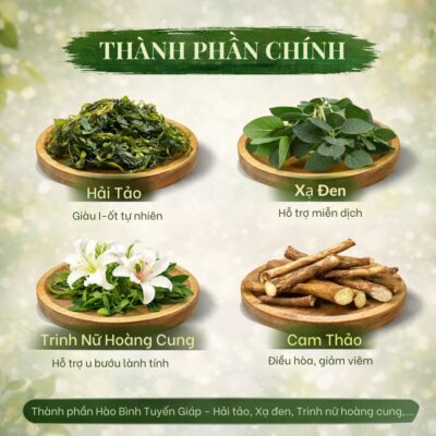 Thành phần Hào Bình Tuyến Giáp - Hải tảo, Xạ đen, Trinh nữ hoàng cung,...