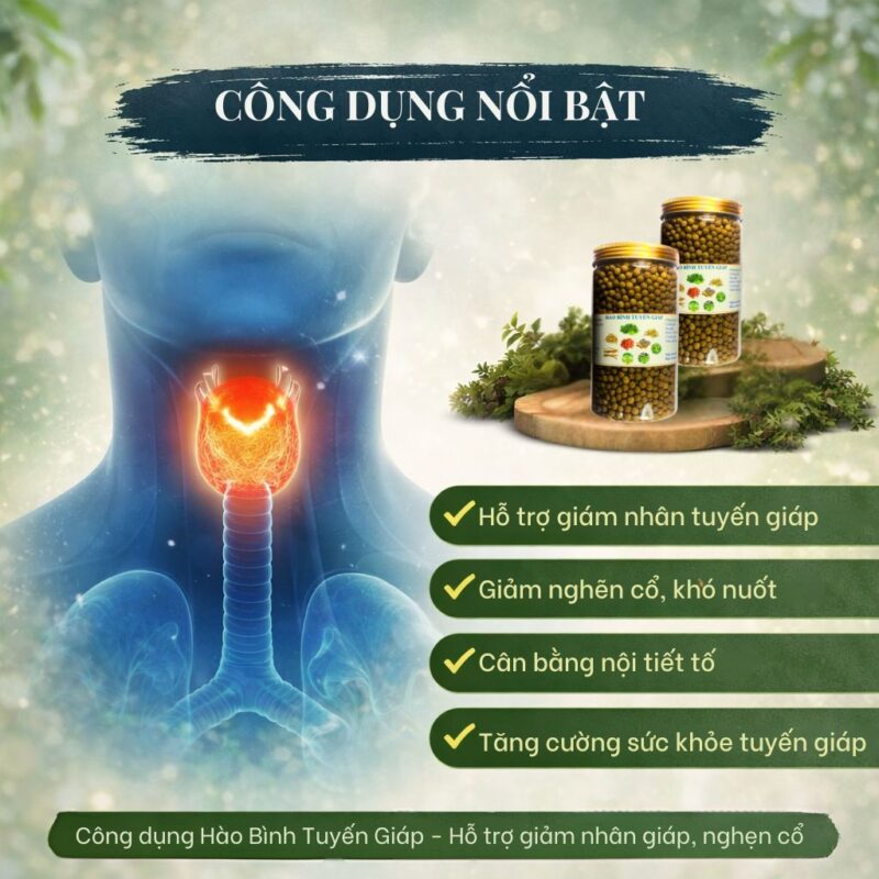 🧠 Hào Bình Tuyến Giáp là gì? Sự thật về sản phẩm đang được tìm kiếm nhiều trên Google Công dụng Hào Bình Tuyến Giáp - Hỗ trợ giảm nhân giáp, nghẹn cổ