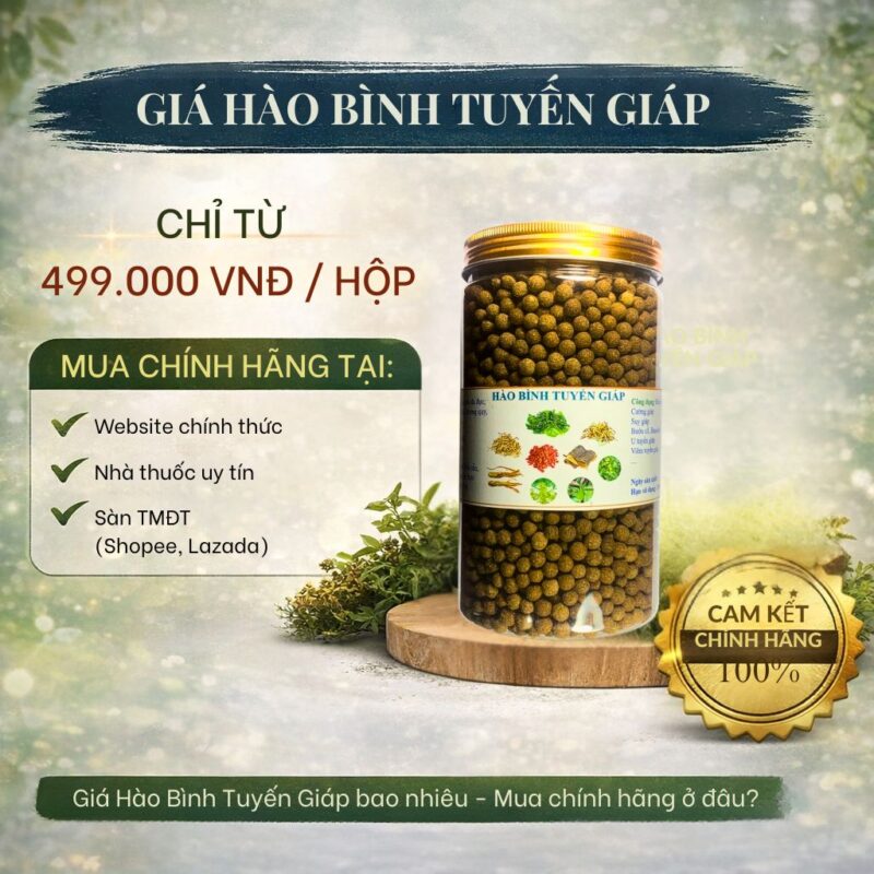 🧠 Hào Bình Tuyến Giáp là gì? Sự thật về sản phẩm đang được tìm kiếm nhiều trên Google Giá Hào Bình Tuyến Giáp bao nhiêu - Mua chính hãng ở đâu?