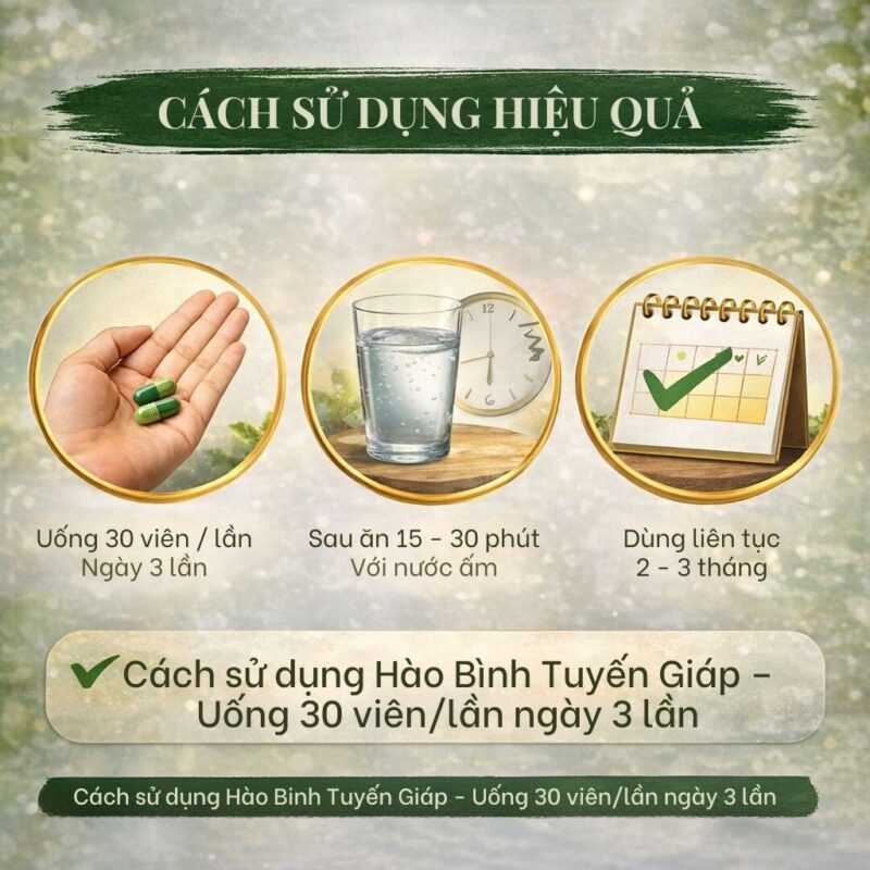 🧠 Hào Bình Tuyến Giáp là gì? Sự thật về sản phẩm đang được tìm kiếm nhiều trên Google Cách sử dụng Hào Binh Tuyến Giáp - Uống 30 viên/lần ngày 3 lần