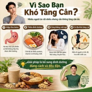 Vì Sao Bạn Khó Tăng Cân?