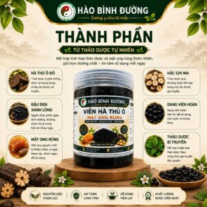 Viên Hà Thủ Ô Mật Ong Rừng Hào Bình Đường 500G - Thảo Dược Thiên Nhiên Dạng Viên Hoàn, Nguyên Liệu Chọn Lọc, Dễ Sử Dụng1
